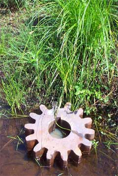 Cog in the outside world