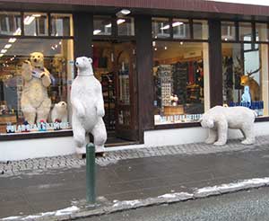 Polar bears